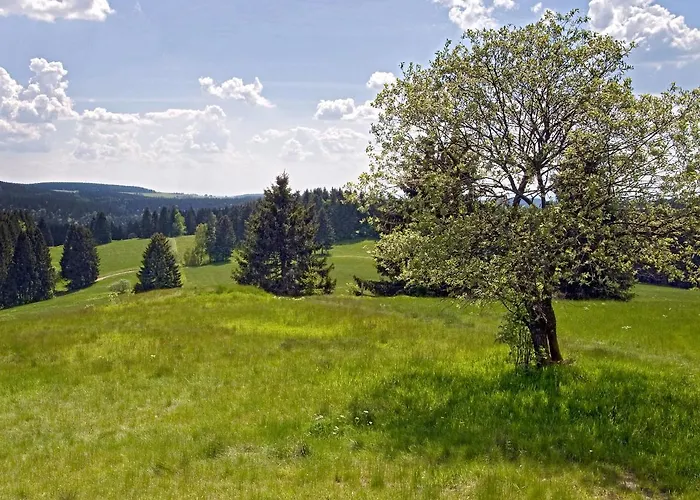 Wurzelbergblick 別荘 *